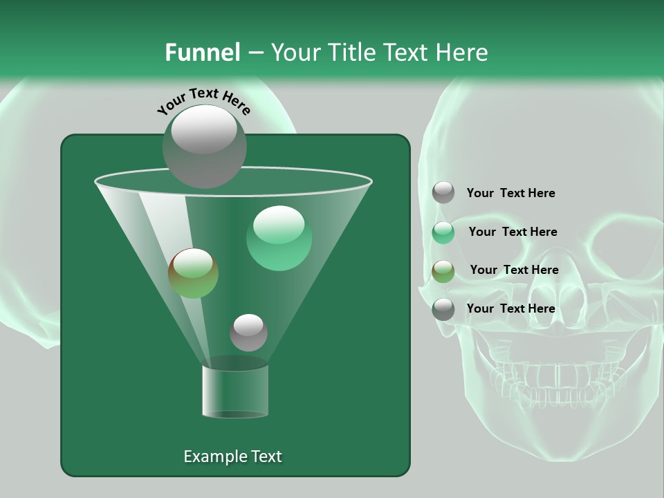 X Ray Skull Anatomy PowerPoint Template
