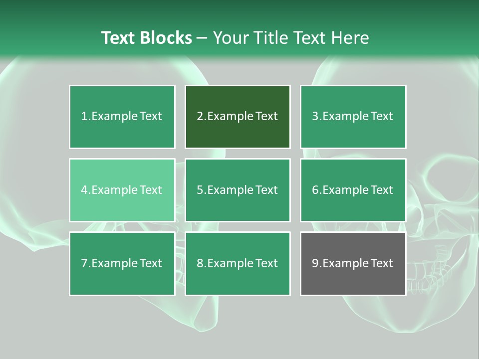 X Ray Skull Anatomy PowerPoint Template
