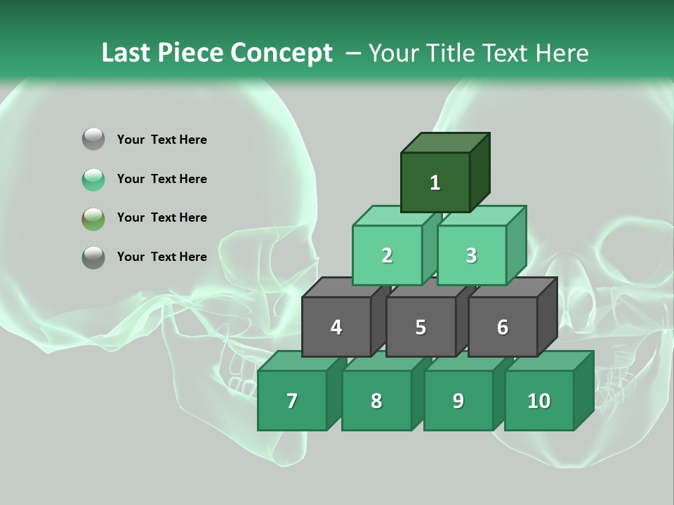 X Ray Skull Anatomy PowerPoint Template
