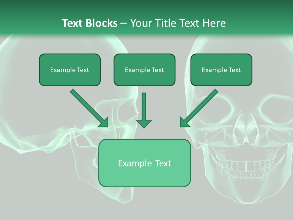 X Ray Skull Anatomy PowerPoint Template
