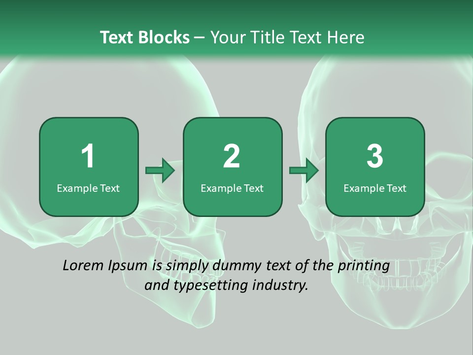 X Ray Skull Anatomy PowerPoint Template