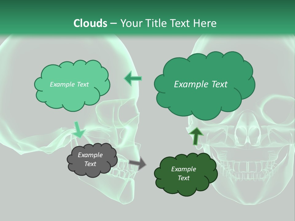 X Ray Skull Anatomy PowerPoint Template