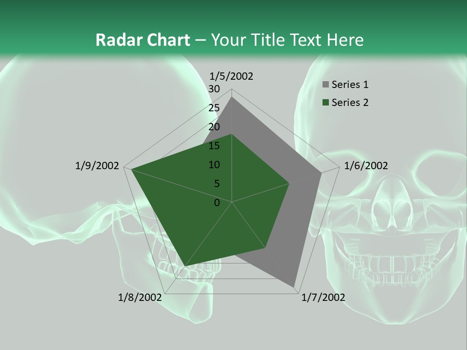 X Ray Skull Anatomy PowerPoint Template