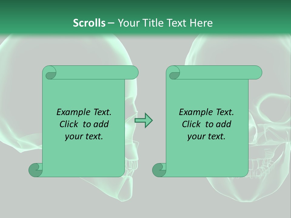 X Ray Skull Anatomy PowerPoint Template
