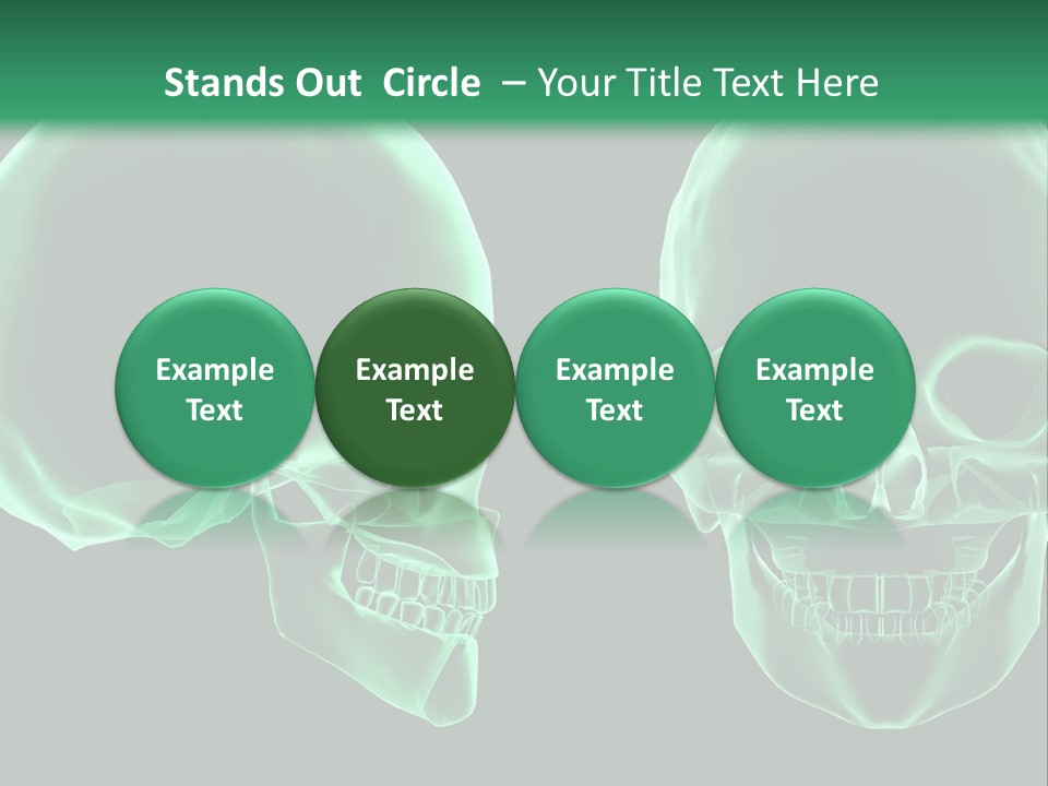 X Ray Skull Anatomy PowerPoint Template