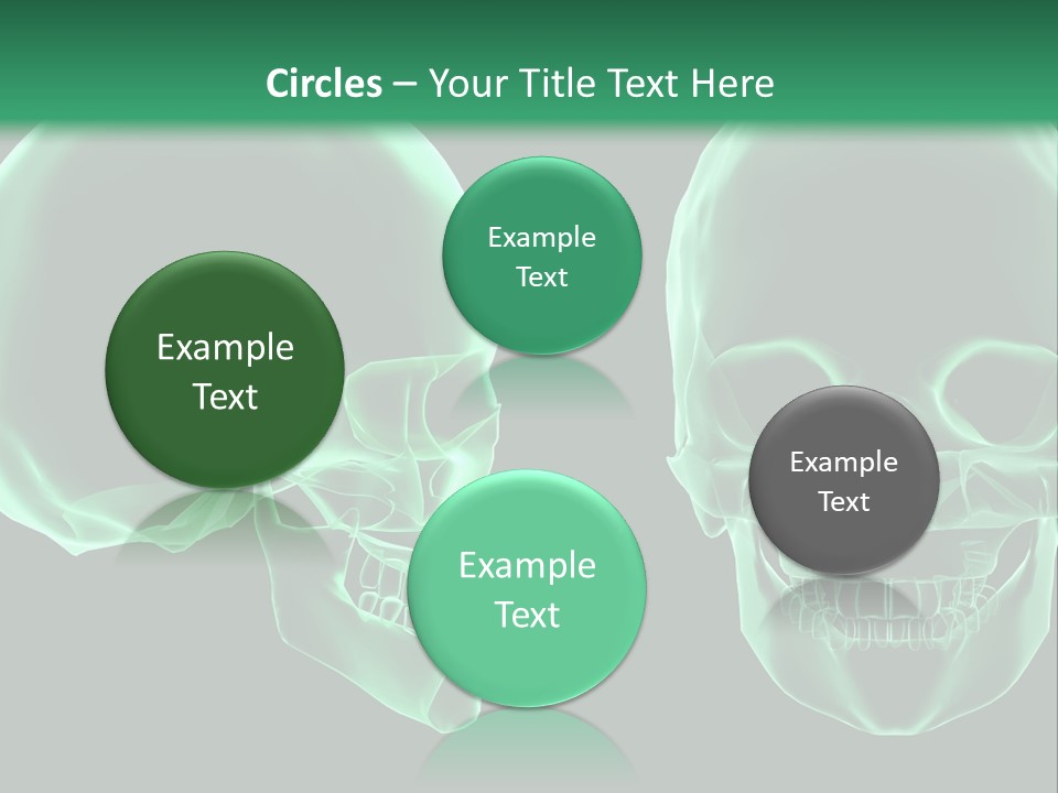 X Ray Skull Anatomy PowerPoint Template