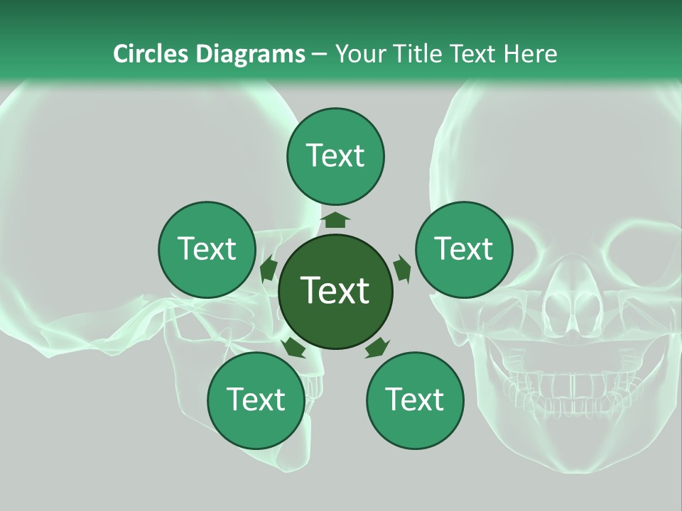 X Ray Skull Anatomy PowerPoint Template