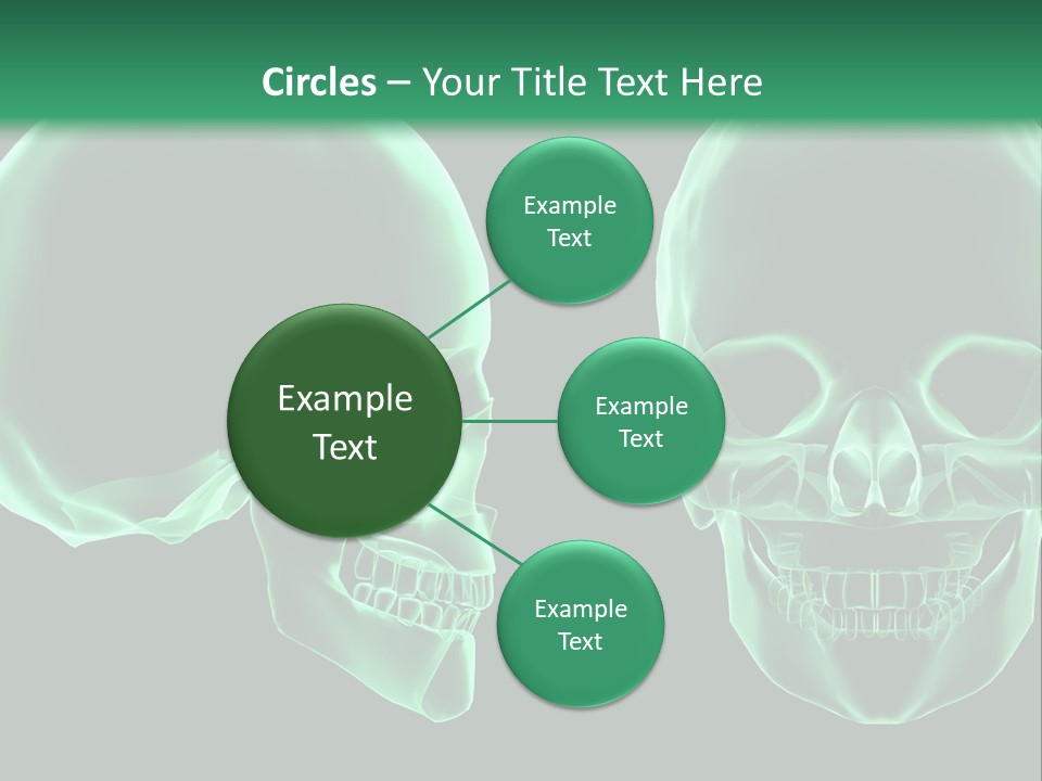 X Ray Skull Anatomy PowerPoint Template