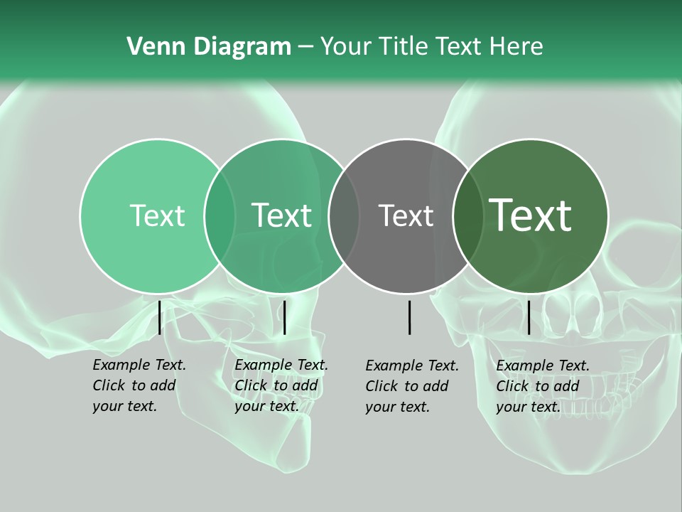 X Ray Skull Anatomy PowerPoint Template