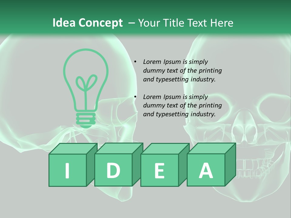 X Ray Skull Anatomy PowerPoint Template