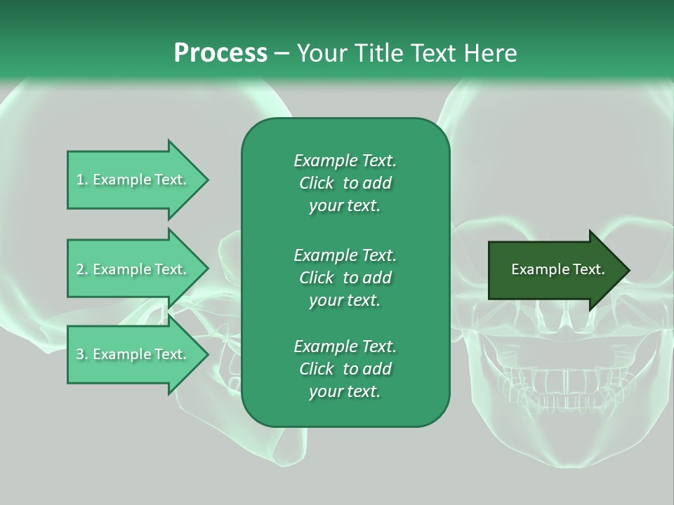 X Ray Skull Anatomy PowerPoint Template