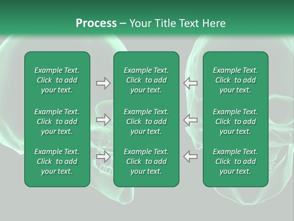 X Ray Skull Anatomy PowerPoint Template