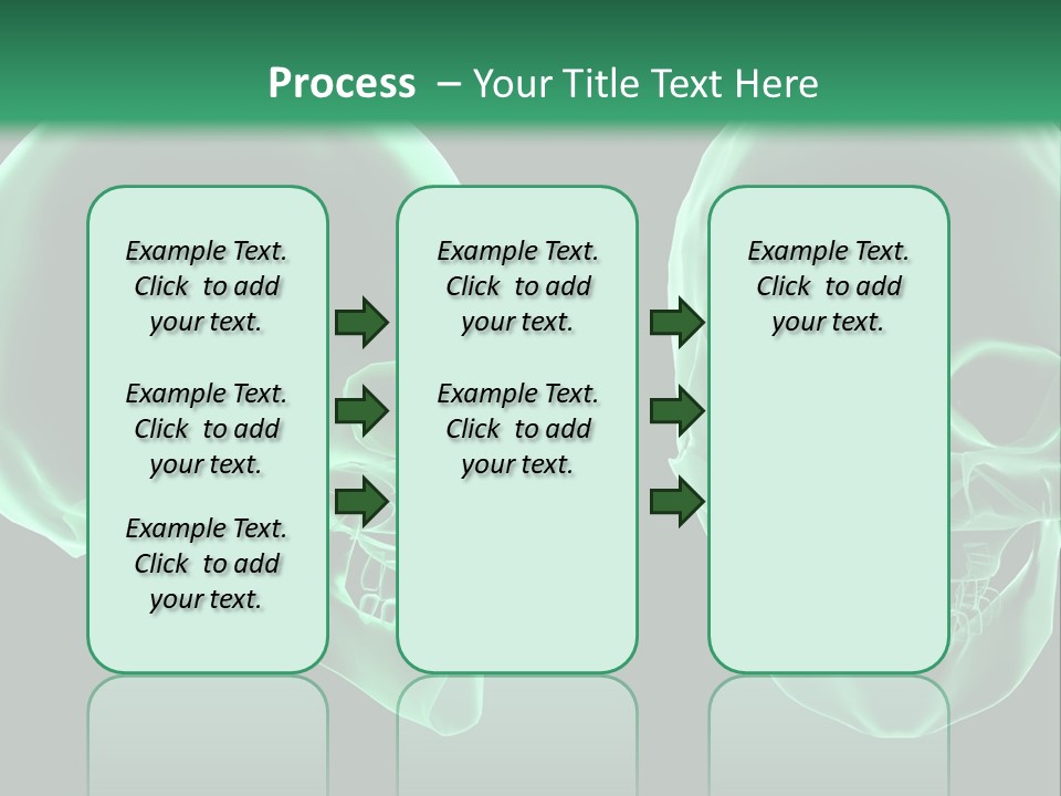 X Ray Skull Anatomy PowerPoint Template