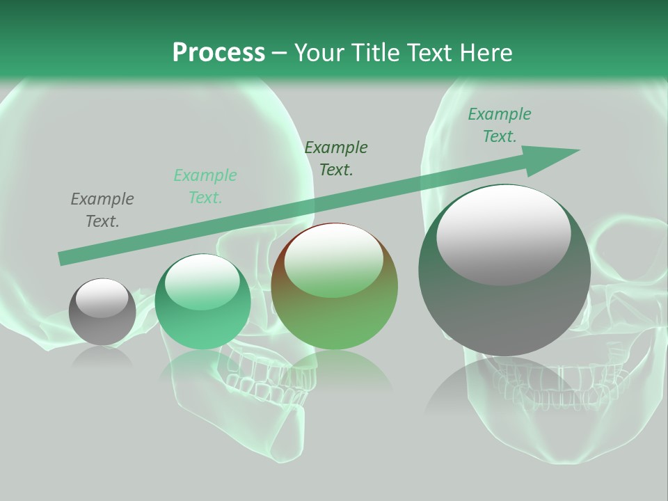 X Ray Skull Anatomy PowerPoint Template