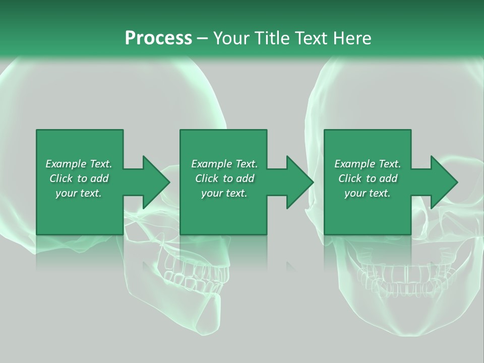 X Ray Skull Anatomy PowerPoint Template