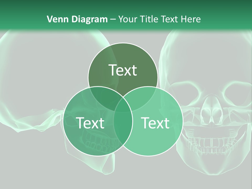 X Ray Skull Anatomy PowerPoint Template