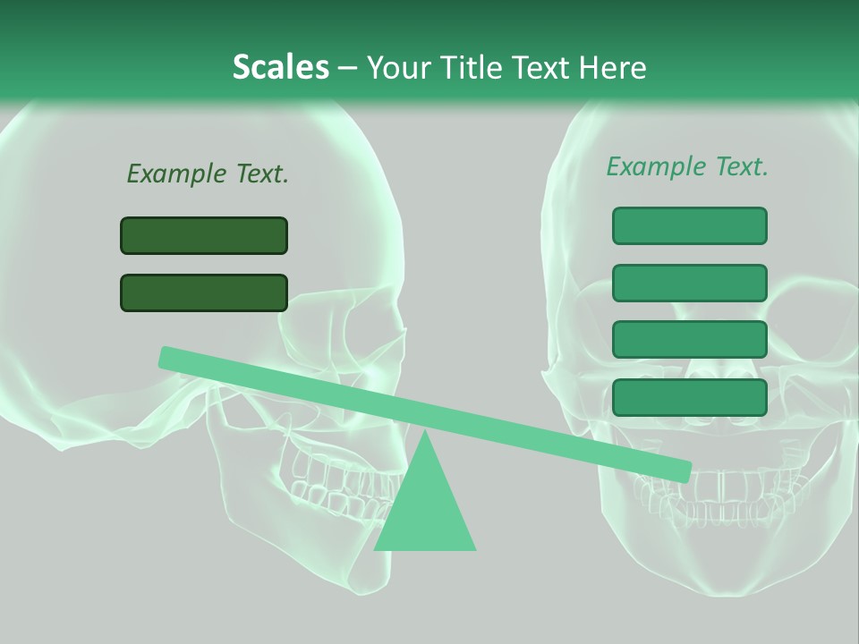 X Ray Skull Anatomy PowerPoint Template