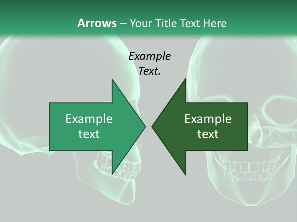 X Ray Skull Anatomy PowerPoint Template