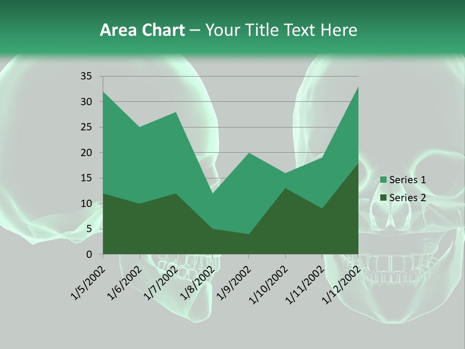 X Ray Skull Anatomy PowerPoint Template