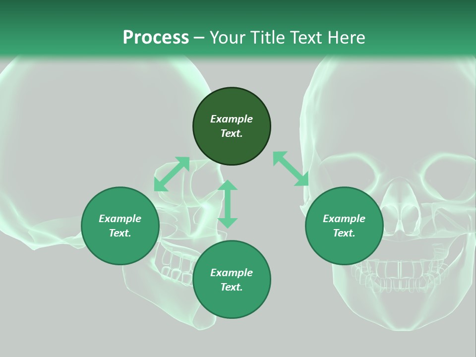 X Ray Skull Anatomy PowerPoint Template