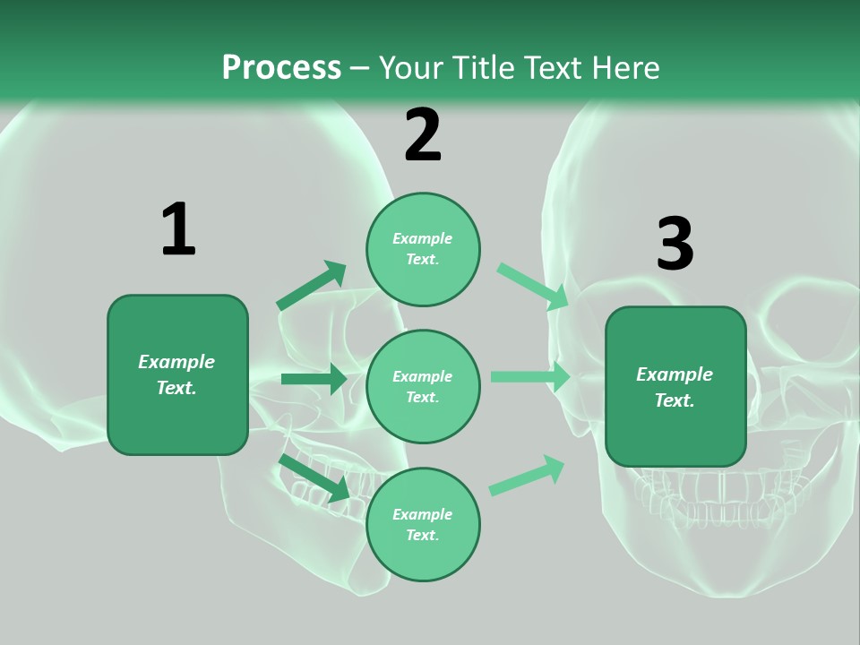 X Ray Skull Anatomy PowerPoint Template