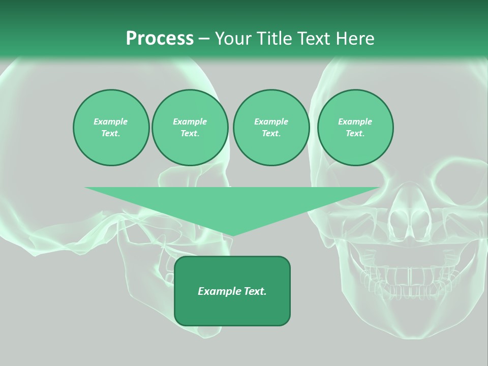 X Ray Skull Anatomy PowerPoint Template