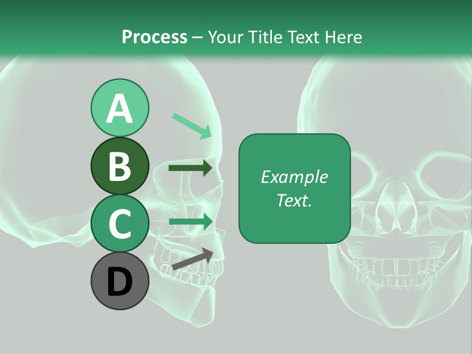 X Ray Skull Anatomy PowerPoint Template