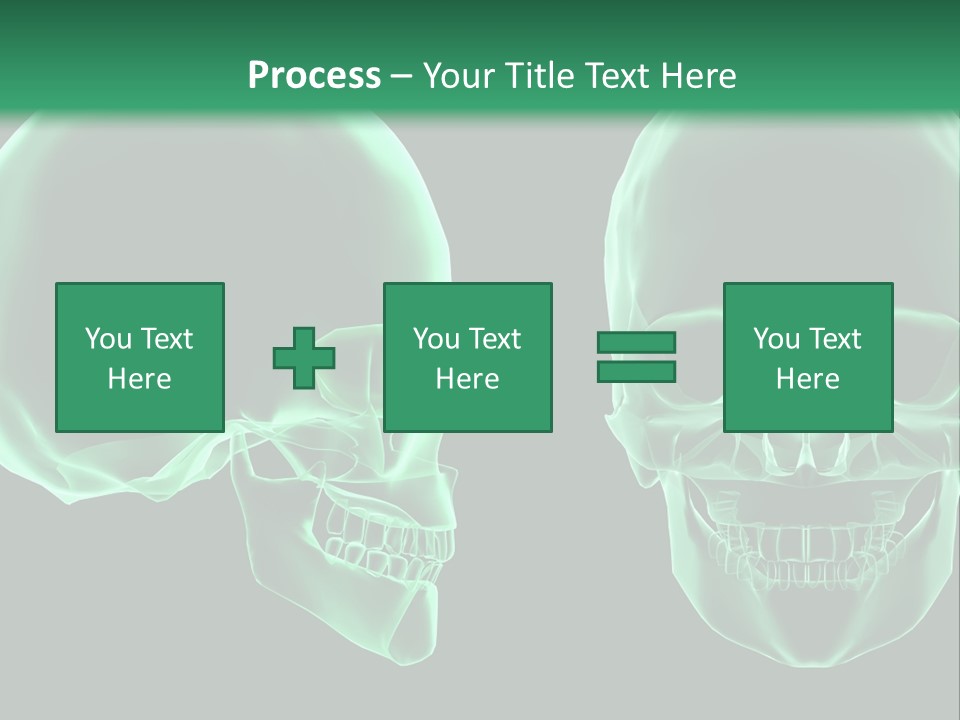 X Ray Skull Anatomy PowerPoint Template