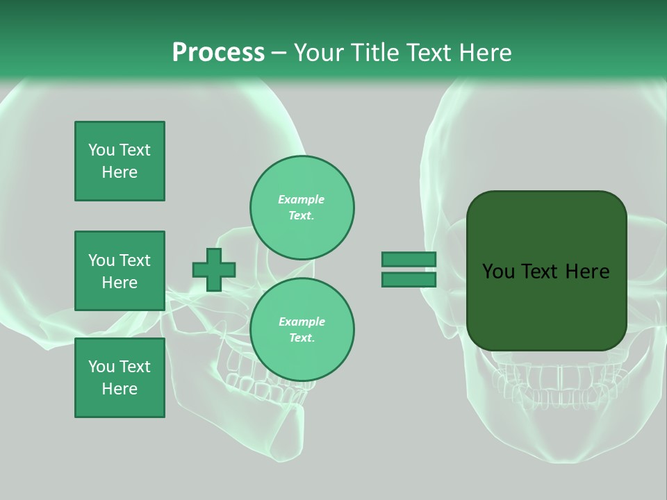X Ray Skull Anatomy PowerPoint Template