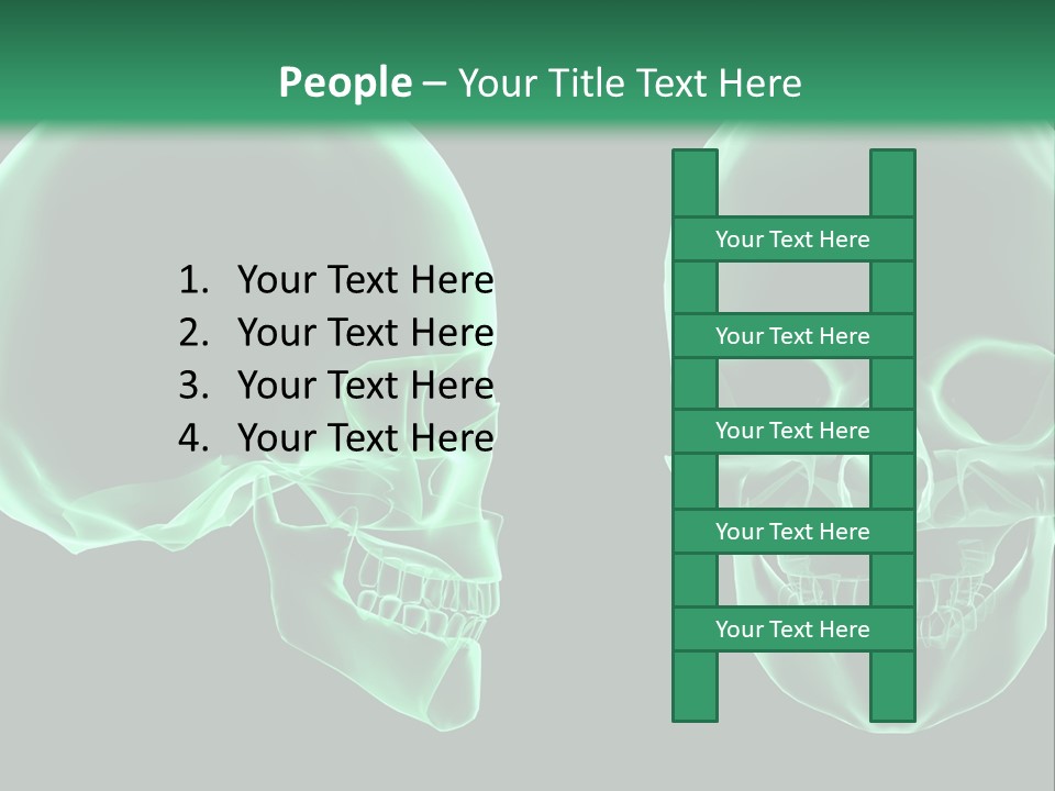 X Ray Skull Anatomy PowerPoint Template