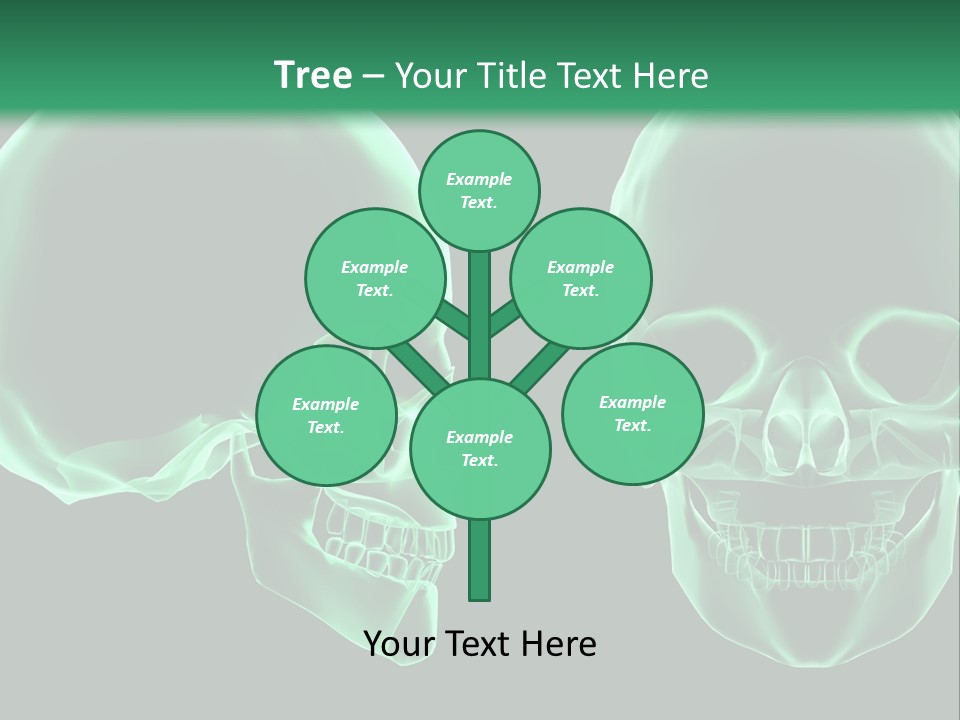 X Ray Skull Anatomy PowerPoint Template