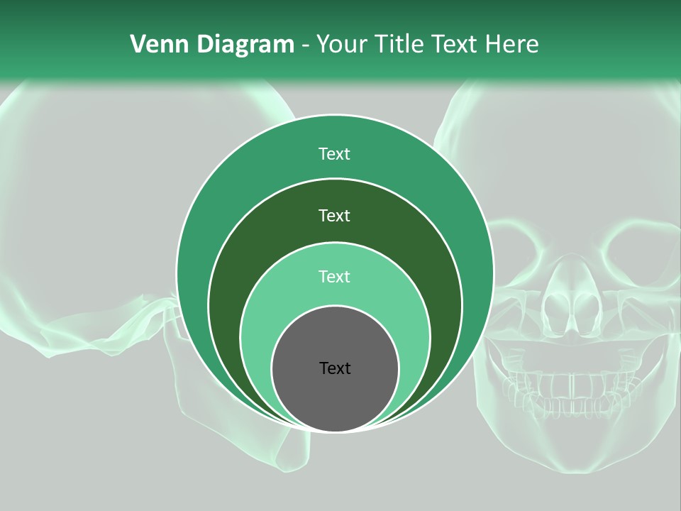 X Ray Skull Anatomy PowerPoint Template