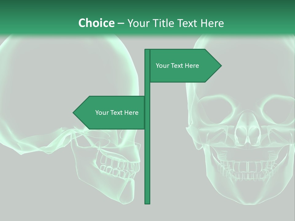 X Ray Skull Anatomy PowerPoint Template