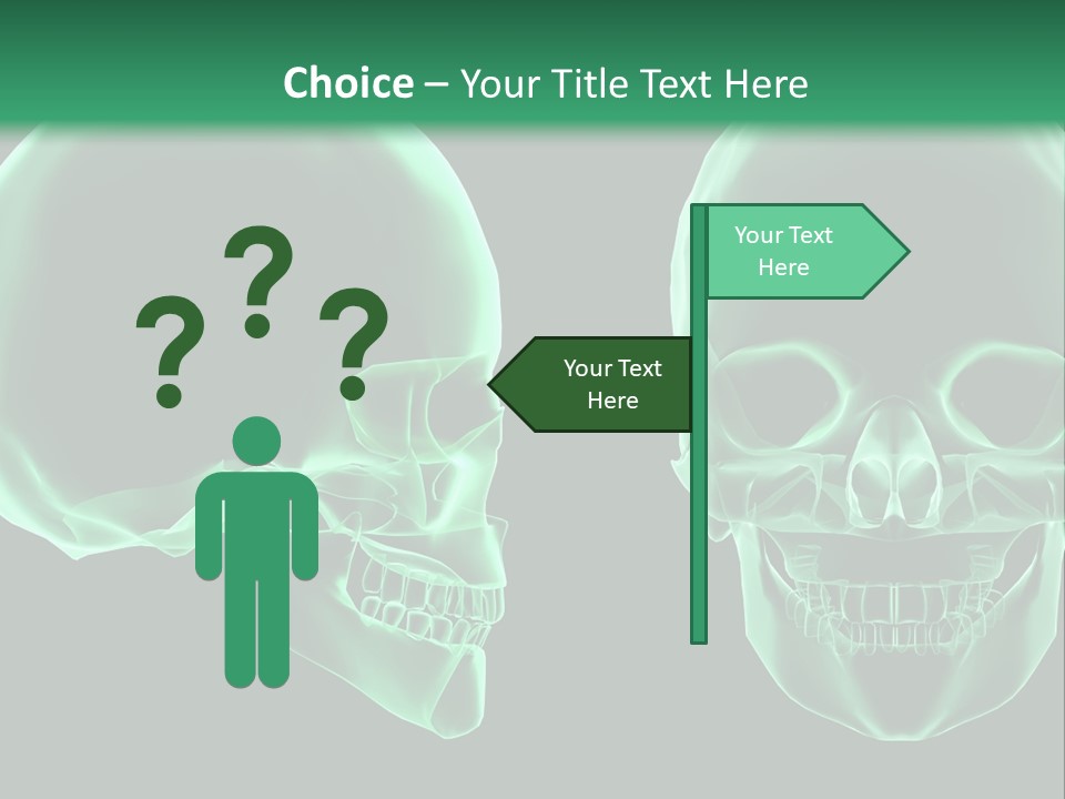 X Ray Skull Anatomy PowerPoint Template