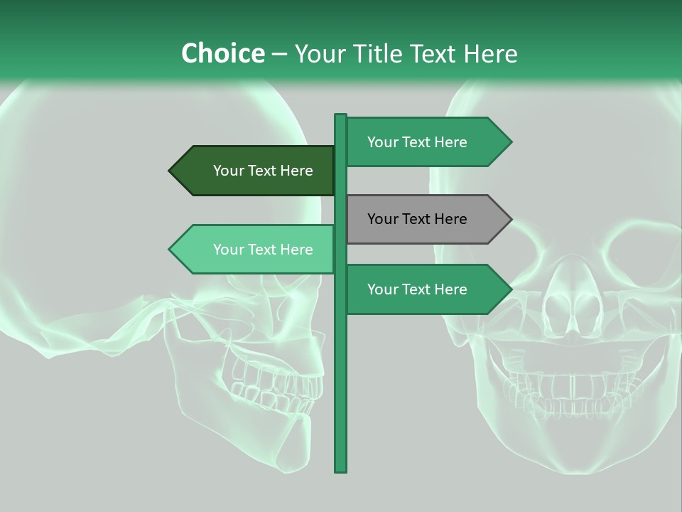 X Ray Skull Anatomy PowerPoint Template