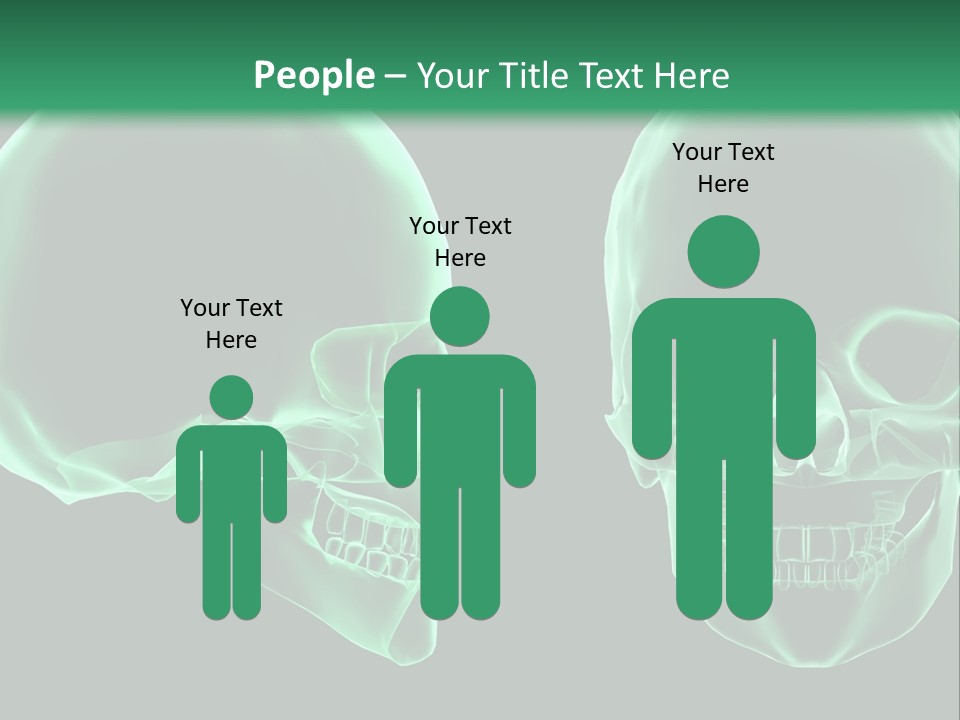 X Ray Skull Anatomy PowerPoint Template