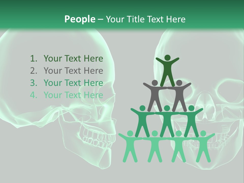 X Ray Skull Anatomy PowerPoint Template