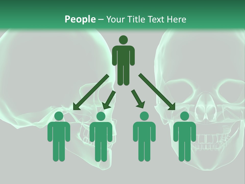 X Ray Skull Anatomy PowerPoint Template