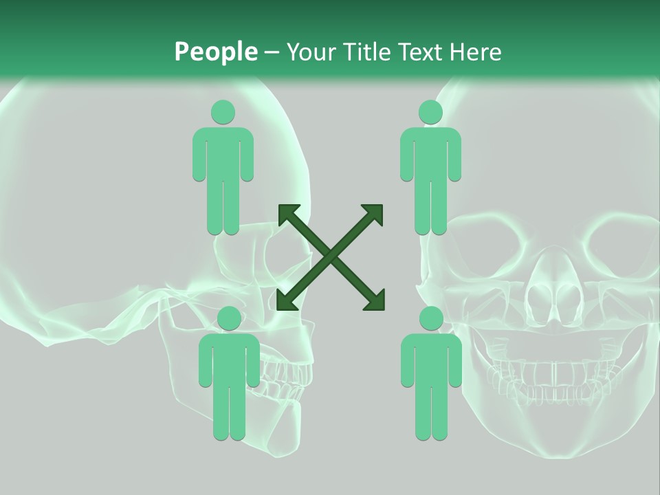 X Ray Skull Anatomy PowerPoint Template