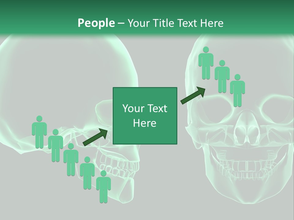 X Ray Skull Anatomy PowerPoint Template