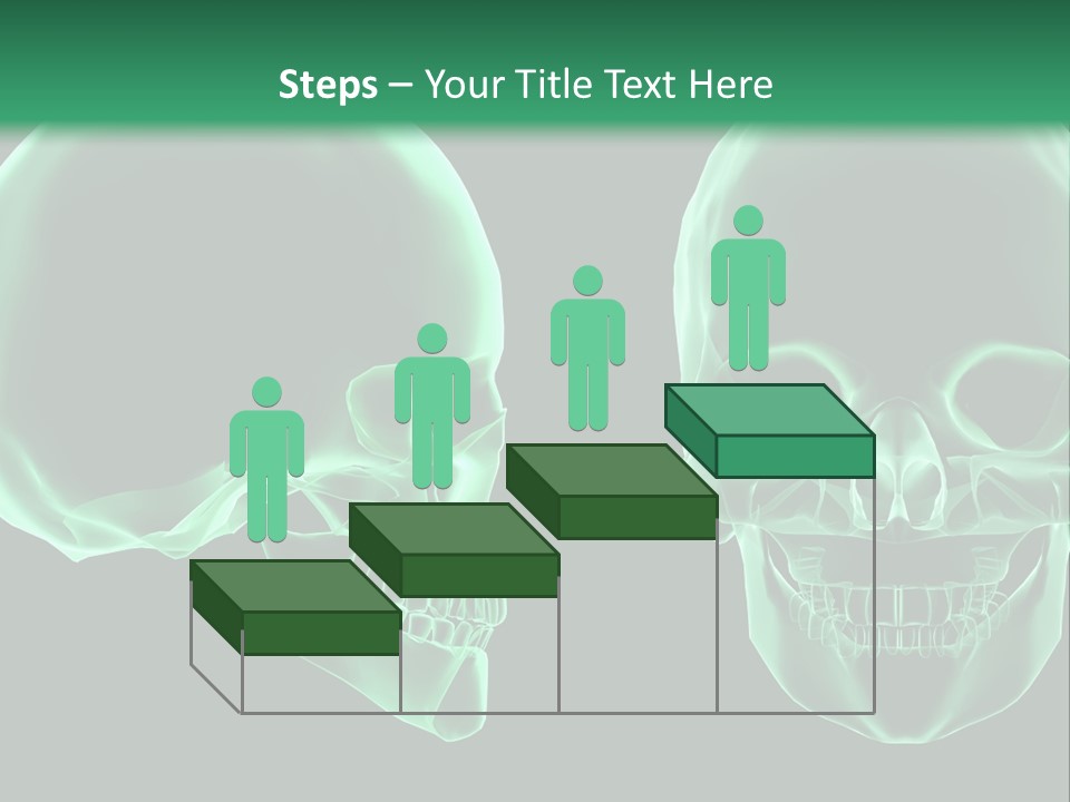 X Ray Skull Anatomy PowerPoint Template