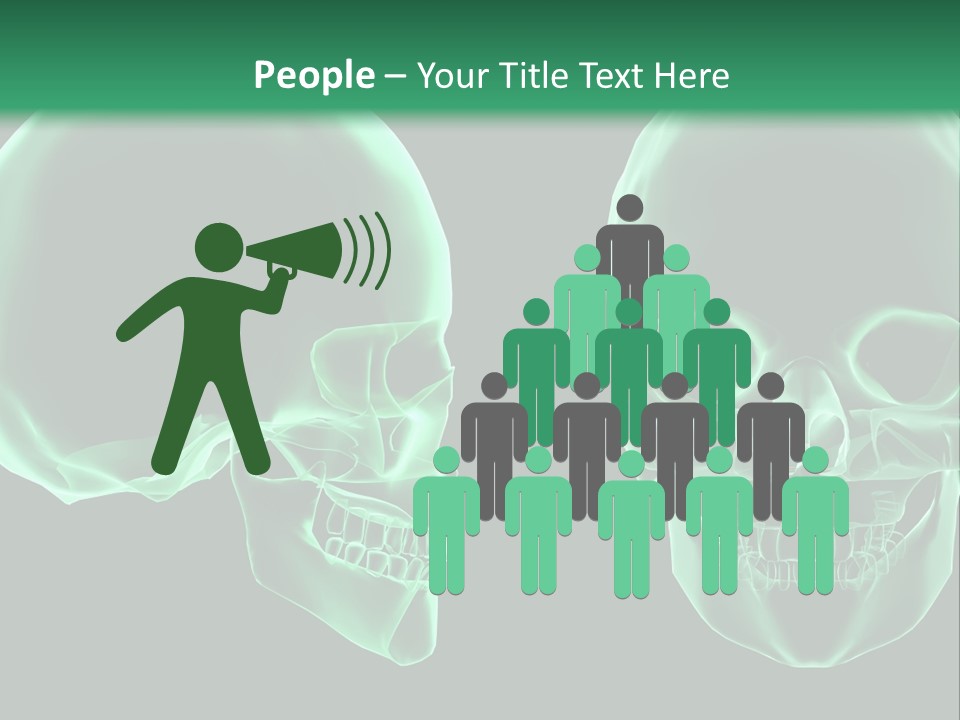 X Ray Skull Anatomy PowerPoint Template