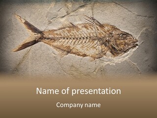 Evolution Aged Science PowerPoint Template