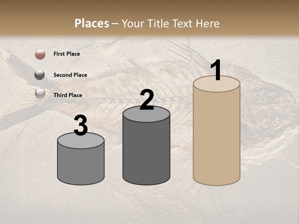 Evolution Aged Science PowerPoint Template