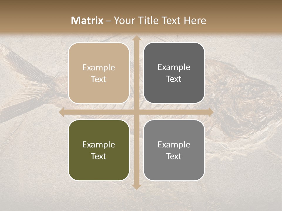 Evolution Aged Science PowerPoint Template