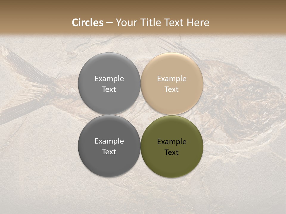 Evolution Aged Science PowerPoint Template