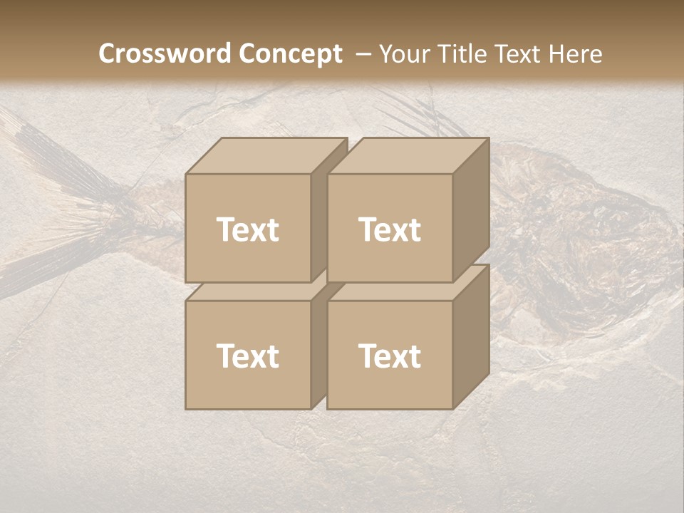Evolution Aged Science PowerPoint Template
