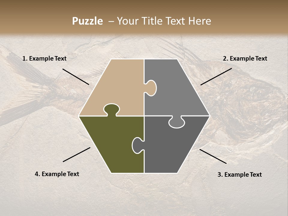 Evolution Aged Science PowerPoint Template
