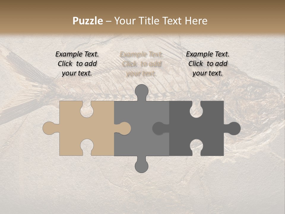 Evolution Aged Science PowerPoint Template