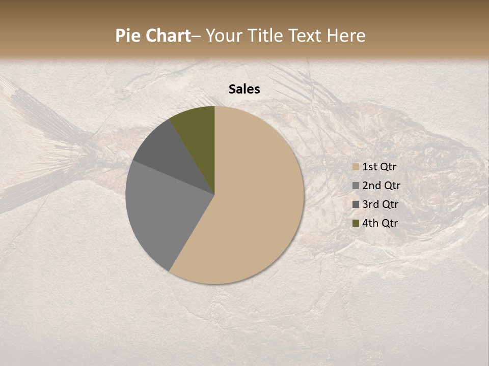 Evolution Aged Science PowerPoint Template